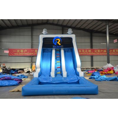 Commercial Children Playground Air Filled Outdoor Dry Indoor Dolphin Inflatable Slides