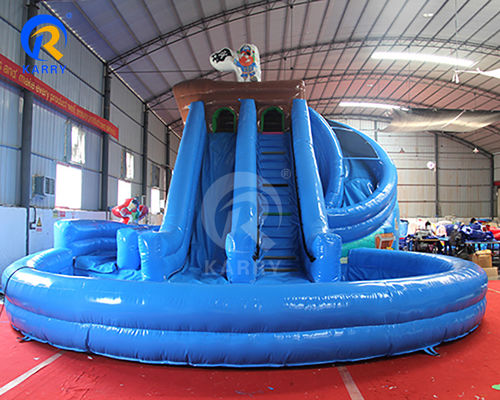Commercial Children Playground Air Filled Outdoor Dry Indoor Dolphin Inflatable Slides