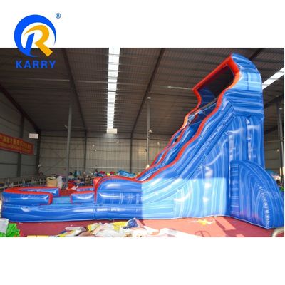Amusement Commercial Grade Inflatable Water Slide for Adults Large Fish Pool Slide
