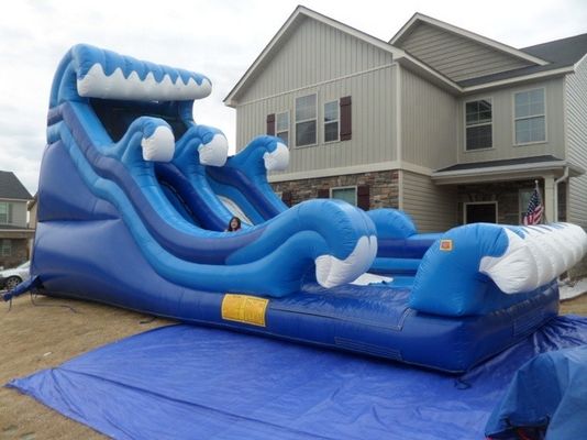 18ft PVC Blue Inflatable Water Slide with Pool Karry Tropical Jumping Bouncy Castle