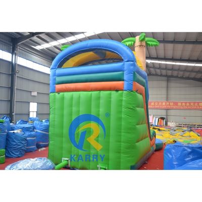 Customized Color Large Bouncy Castle Combo with Pool Digital Printing and Steep Slide