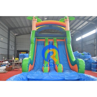 Customized Color Large Bouncy Castle Combo with Pool Digital Printing and Steep Slide