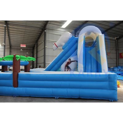 Commercial Inflatable Water Slide Polar Bear Arctic Plunge Dual Lane for Outdoor Fun