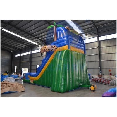 Commercial Occasion PVC Air Filled Backyard Inflatable Water Slide with Pool