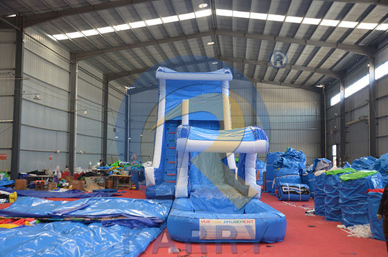 Shopping Mall Occasion Large Inflatable Water Slide with Pool and Long Slide Path