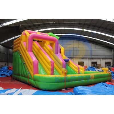 Customized Color Marble Tropical Waterslide Inflatable Combo Bouncer for Unisex Sale