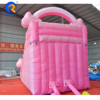 EN71/CE Certified Customizable Inflatable Water Slide for Adults