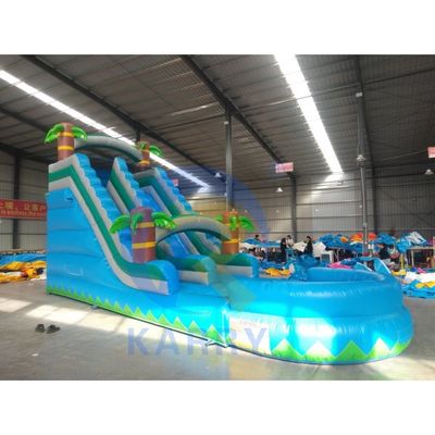 0.55mm PVC Tarpaulin Backyard Inflatable Slide Dual Lane Water Slide with D-Rings