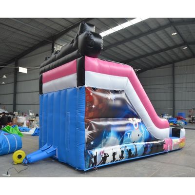 Max Capacity 100-500kg Commercial Event Promotion Inflatable Water Slide with Pool