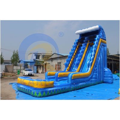 Kid's Affordable Inflatable Water Slide with Pool Digital Printing OEM Acceptable
