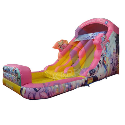 CE Blower and Repair Accessories Included Fairytale Princess Water Slide Inflatable