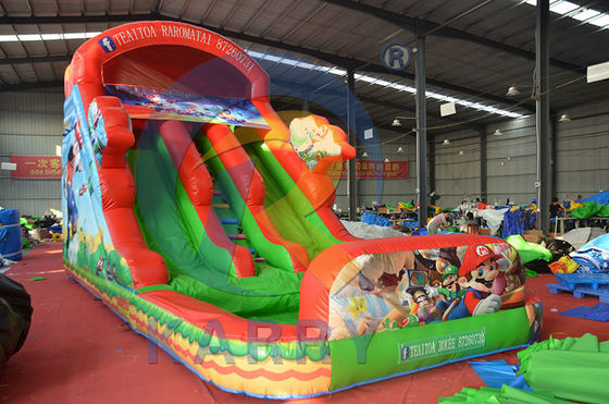 Cartoon Mario Inflatable Double Slide for Jumping and Swimming Max Capacity 100-500kg