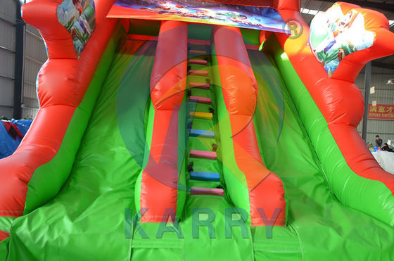 Cartoon Mario Inflatable Double Slide for Jumping and Swimming Max Capacity 100-500kg