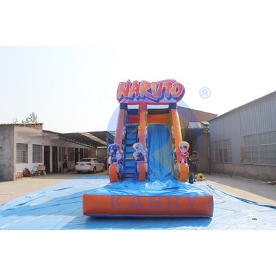 Shopping Mall Occasion Anime Fan's Backyard Inflatable Water Slide and Pool Combo