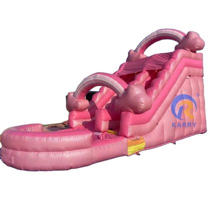 Bringbringlight Slide Custom Material Wet and Dry Inflatable Water Slides for Event