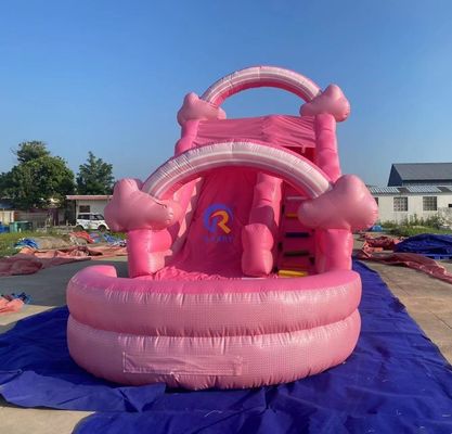Bringbringlight Slide Custom Material Wet and Dry Inflatable Water Slides for Event