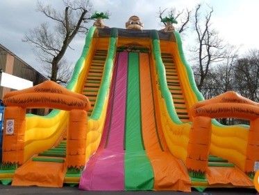 Bringbringlight Slide Custom Material Wet and Dry Inflatable Water Slides for Event
