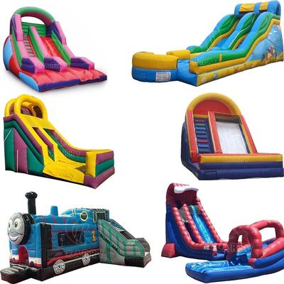Bringbringlight Slide Custom Material Wet and Dry Inflatable Water Slides for Event
