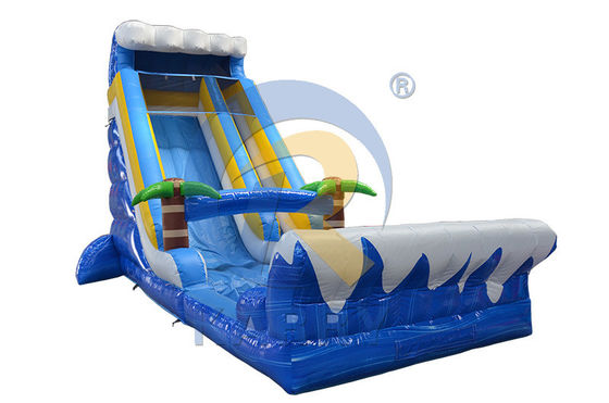 Commercial Inflatable Dry Slide for Beautiful Outdoor and Indoor Swimming Pool Slide