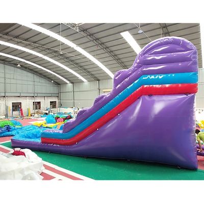 Outdoor Entertainment Customized Inflatable Bouncy Castle Slide for Entertainment