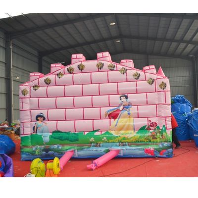 Chameleon Bounce House and Pink Inflatable Slide for Unisex Trampoline Jump Castle