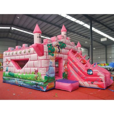 Chameleon Bounce House and Pink Inflatable Slide for Unisex Trampoline Jump Castle
