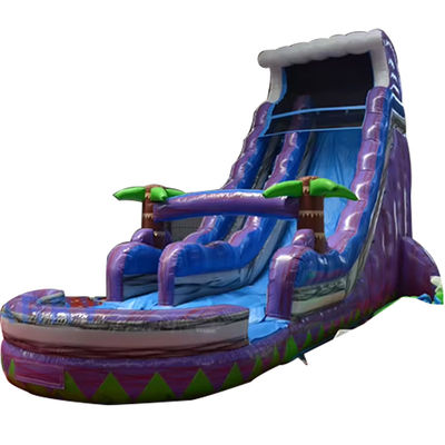 2023 Promotion Steep Landslide Magic Palm Tree Water Purple Slide Inflatable with Pool
