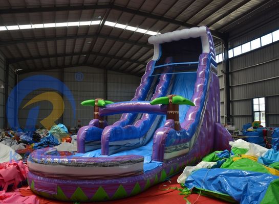 2023 Promotion Steep Landslide Magic Palm Tree Water Purple Slide Inflatable with Pool