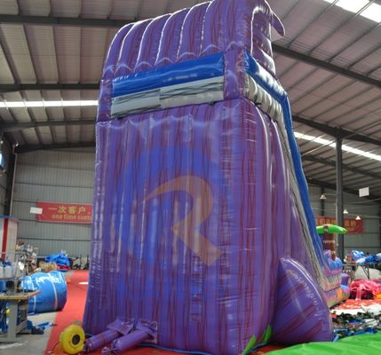 2023 Promotion Steep Landslide Magic Palm Tree Water Purple Slide Inflatable with Pool
