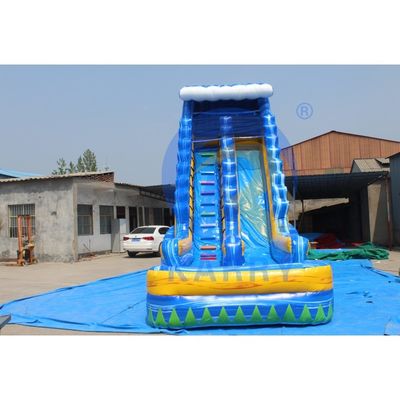 Customized Color Inflatable Backyard Tropical Marble Blue Water Slide With Swimming Pool Adult for 10 Passengers
