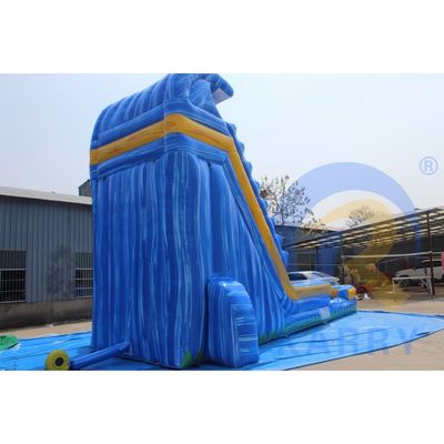 Customized Color Inflatable Backyard Tropical Marble Blue Water Slide With Swimming Pool Adult for 10 Passengers