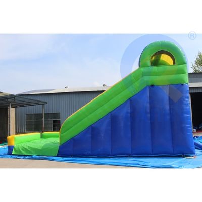 Attract CE EN14960 Certified Leopard Print Arch Inflatable Water Slides with Swimming Pool