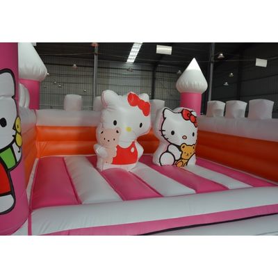 Home/Business Fun Guaranteed with Pastel Pink Jumping Castle T/T Payment Included