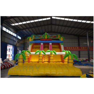 Outdoor Public Playground Inflatable Jumping Bouncy Castle with Extra Wide Slide Lane