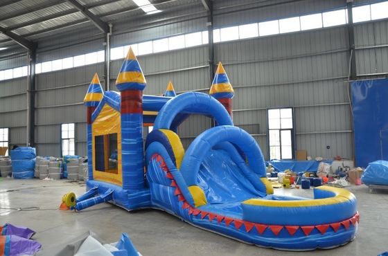 Experience the Excitement of Inflatable Slide/Castle/Bounce for Outdoor Entertainment