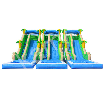 Unisex Dual Lane Water Slide and Jumping Castle Commercial Inflatable Bounce House