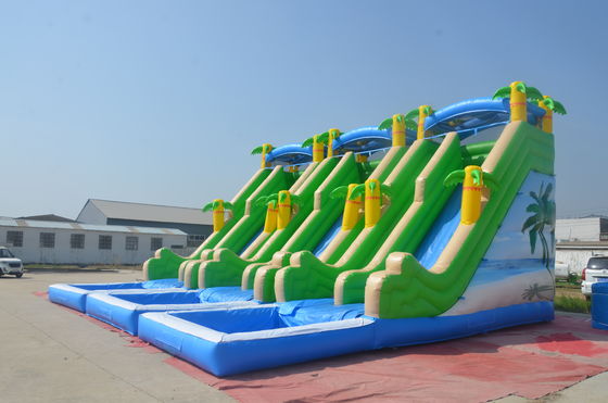 Unisex Dual Lane Water Slide and Jumping Castle Commercial Inflatable Bounce House