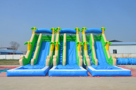 Unisex Dual Lane Water Slide and Jumping Castle Commercial Inflatable Bounce House