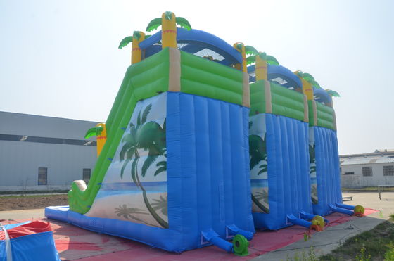 Unisex Dual Lane Water Slide and Jumping Castle Commercial Inflatable Bounce House