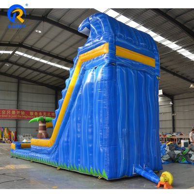 Park Occasion Commercial Grade Inflatable Water Slide with Bounce Castle and Pool