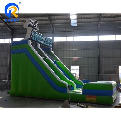 Inflatable Water Slide for Kids and Adults Play Green PVC Material Can Be Customized