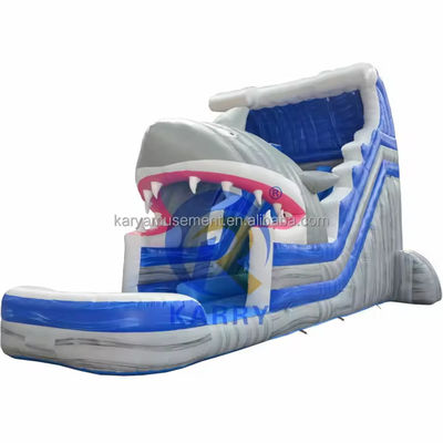 Unleash Your Inner Shark Commercial Blue Water Slide with Inflatable Shark and Pool
