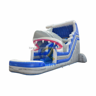 Unleash Your Inner Shark Commercial Blue Water Slide with Inflatable Shark and Pool