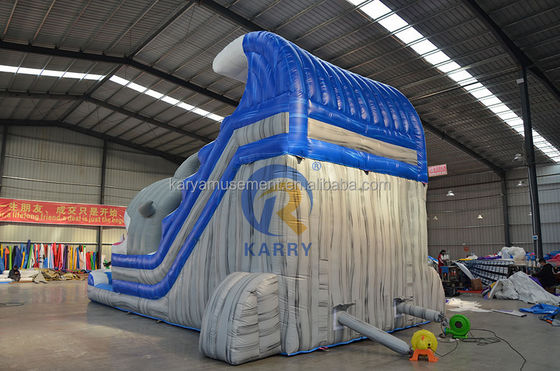 Unleash Your Inner Shark Commercial Blue Water Slide with Inflatable Shark and Pool