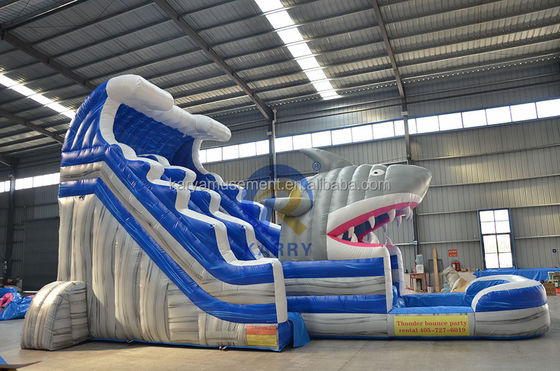 Unleash Your Inner Shark Commercial Blue Water Slide with Inflatable Shark and Pool