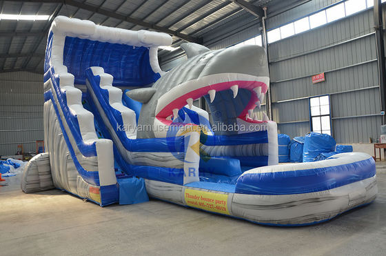 Unleash Your Inner Shark Commercial Blue Water Slide with Inflatable Shark and Pool