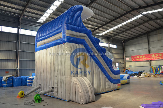 Unleash Your Inner Shark Commercial Blue Water Slide with Inflatable Shark and Pool