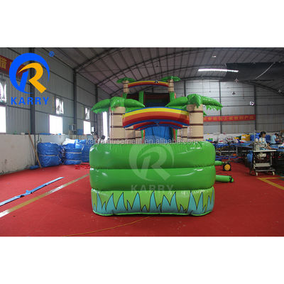 Max Capacity 100-500kg Large Inflatable Water Slide with Extended Long Slide and Pool