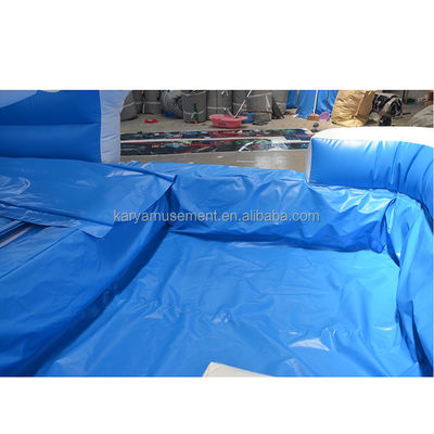 Gender-Neutral Commercial Backyard Bouncy Castle Marble Tropical Waterslide Water Slide