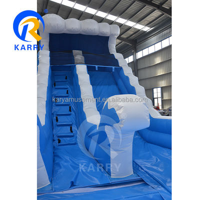Gender-Neutral Commercial Backyard Bouncy Castle Marble Tropical Waterslide Water Slide